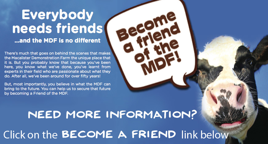 become a friend of the MDF